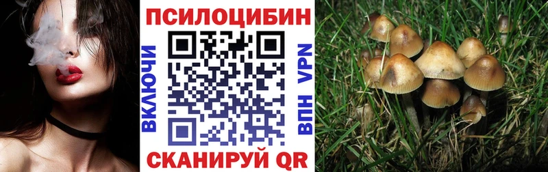 Псилоцибиновые грибы мицелий  Купить  Курганинск 
